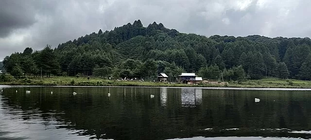 Ziro