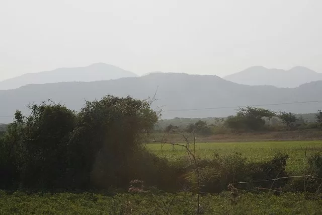 Gir Forest National Park