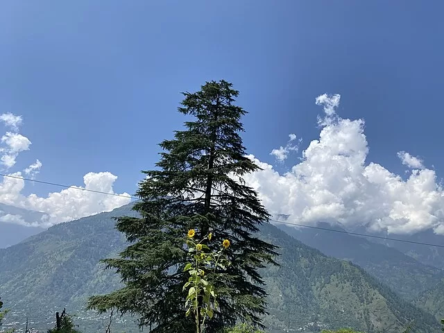 Naggar Castle