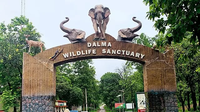 Dalma Wildlife Sanctuary