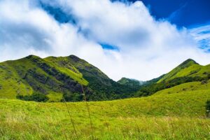 Wayanad Green