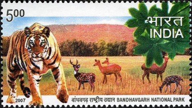 Bandhavgarh National Park