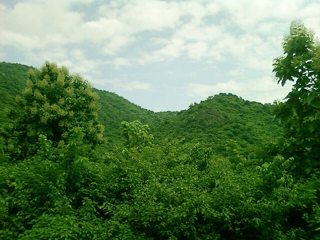 Eastern_Ghats_at_Srungavarapukota_in_Vizianagaram_district