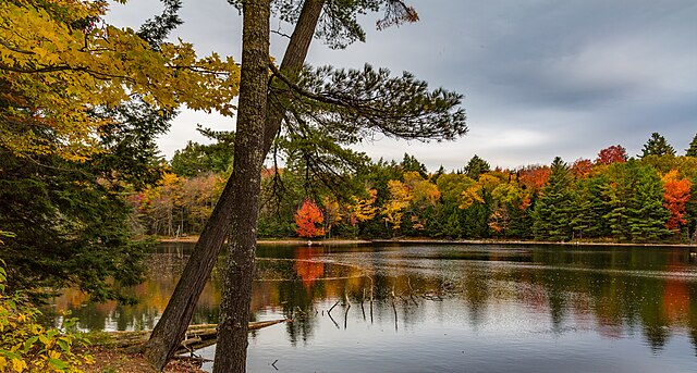 Upstate New York