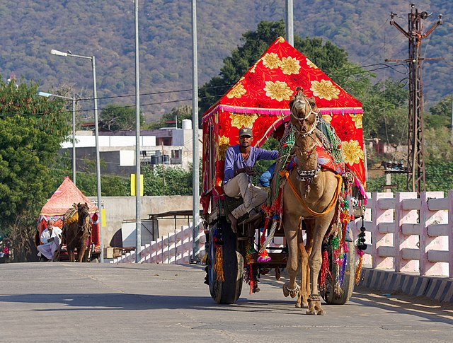 drawn_cart_Pushkar