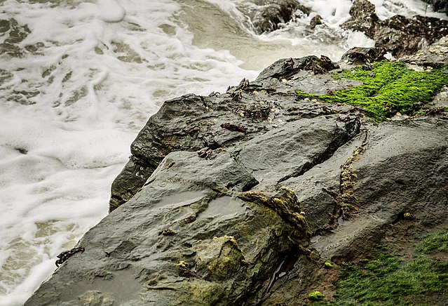 rock_garden_malvan