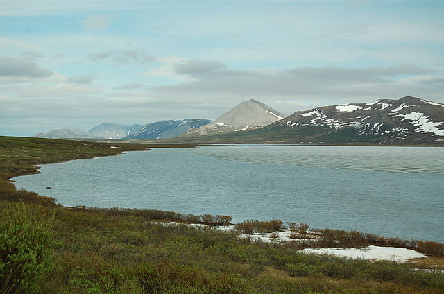 alaska_salmon