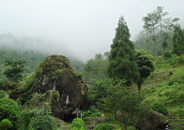 Rock_Garden_Darjeeling_image