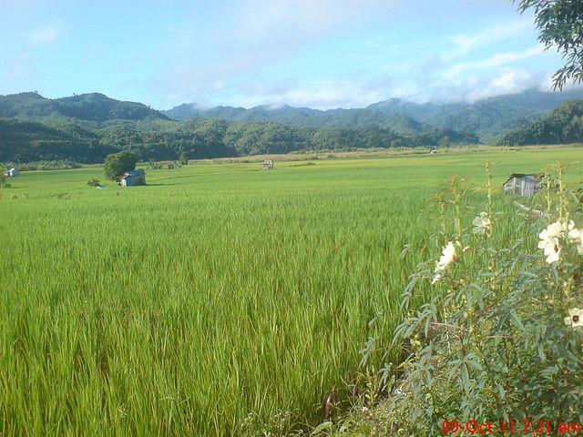 weather_serchhip