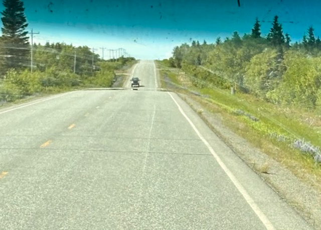 Alaska_Peninsula_Highway_outside_King_Salmon_AK