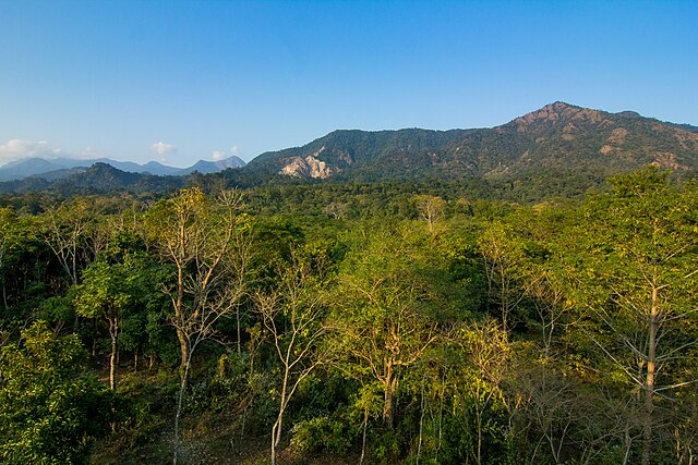 Buxa_Tiger_Reserve_forest_2015