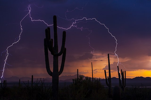 tucson_weather