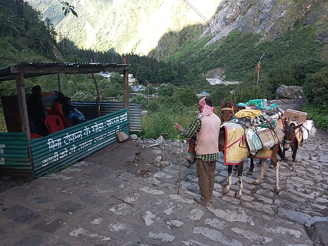 Ghangharia_to_Hemkund_Sahib_Mule_transport