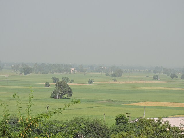 weather_in_patiala