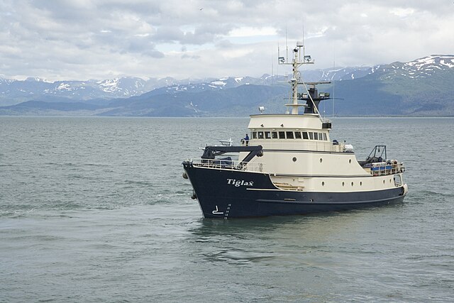 things_to_do_in_homer_alaska