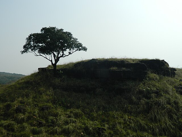 Matcha_Nokpante_tigers_meeting_place_in_Balpakram_National_Park