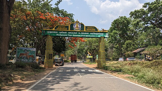 Mudumalai_Tiger_Reserve