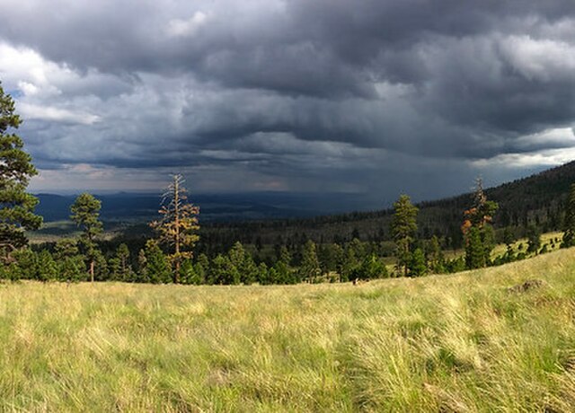 weather_in_flagstaff