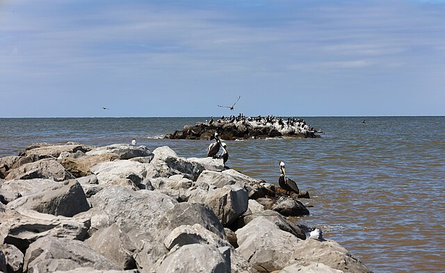 things_to_do_in_dauphin_island