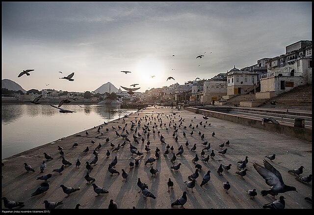 Pushkar_Lake_India