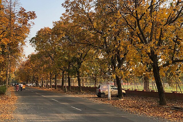 weather_chandigarh