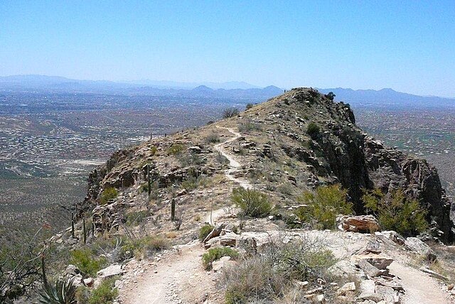 Sabino_Canyon_Tucson_Arizona_United_States