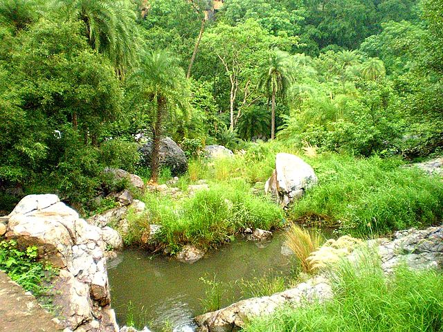 sariska-tiger-reserve