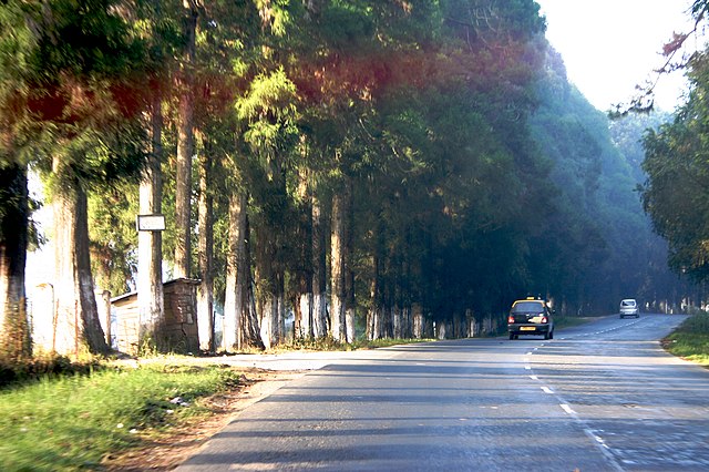 Cherrapunji Temperature