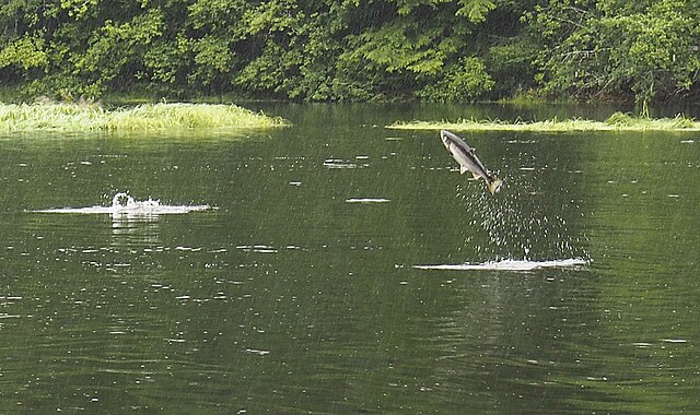 things_to_do_in_sitka_alaska