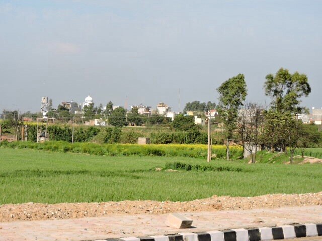 Spring_season