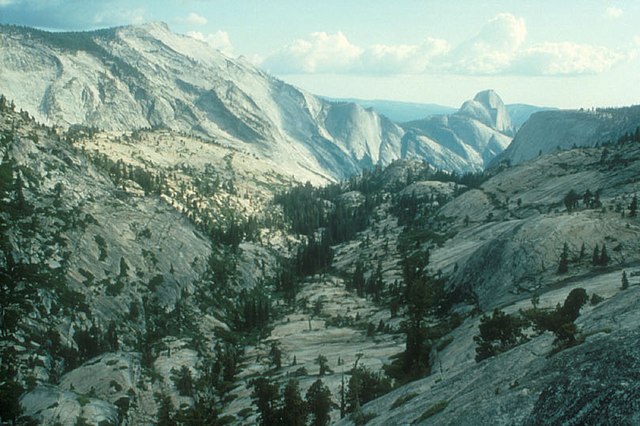 Tioga_Road
