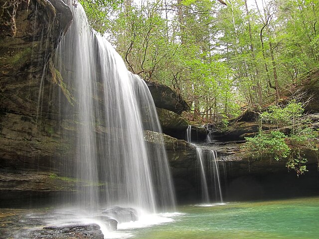 bankhead_national_forest