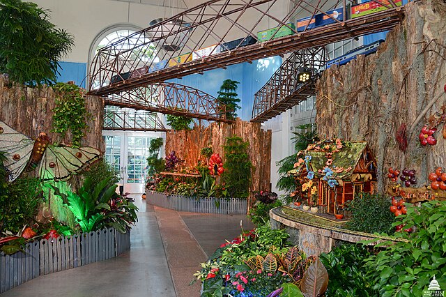 butterfly wonderland
