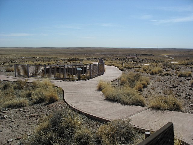 Trail