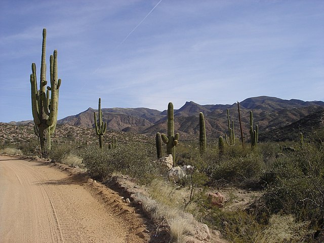 APACHE_TRAIL_