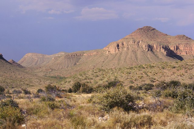 Chihuahuan_Desert