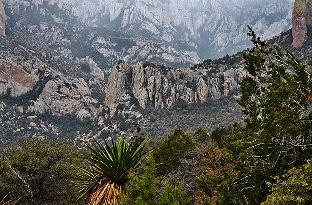 Chiricahua_Mountains_