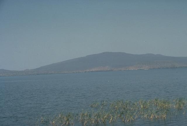 alamo lake state park