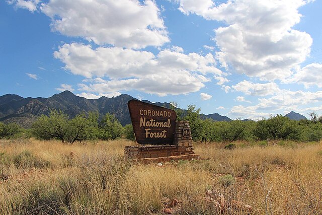 coronado national forest