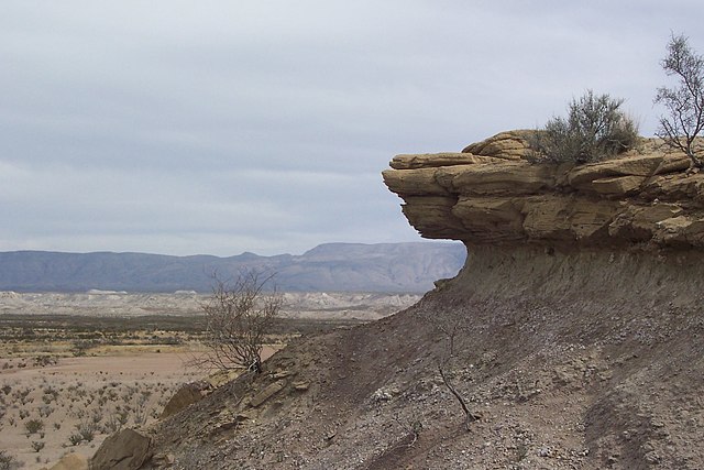Desert_Chihuahuan_Big_Bend