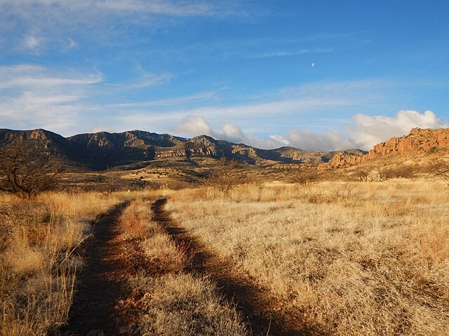 Galiuros_at_Deer_Creek