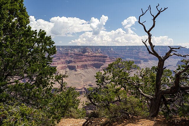 Grand_Canyon_Arizona_USA_South_Rim_nahe_Tusayan_