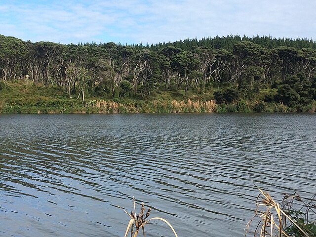 Kunzea_robusta_Lake_Kereta