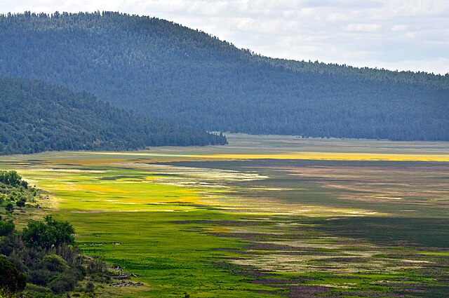 Mormon_Lake