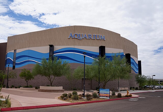 odysea aquarium