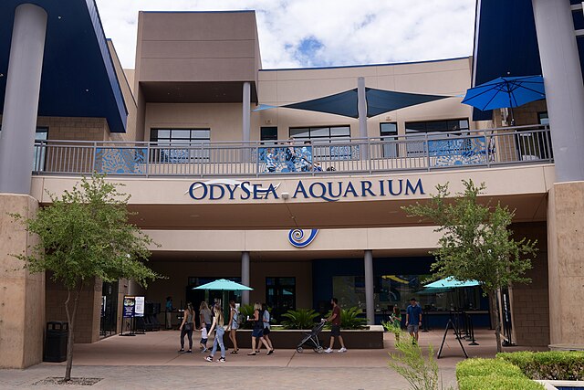 OdySea_Aquarium_Scottsdale_Arizona