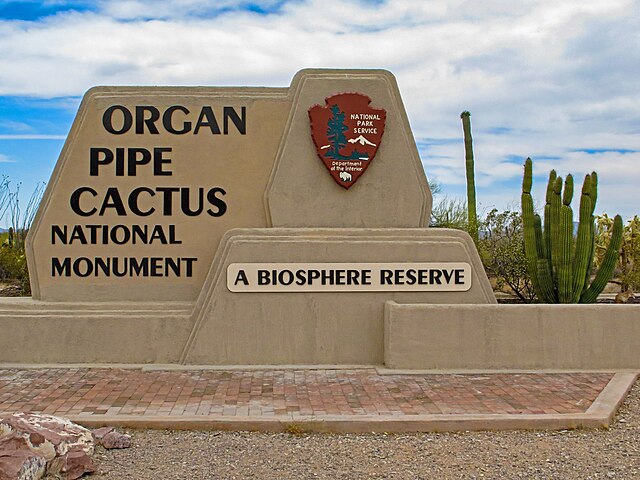 organ pipe cactus national monument