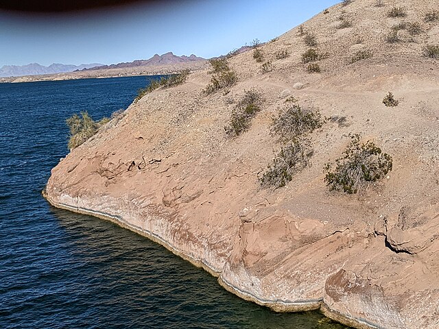 Cattail_Cove
