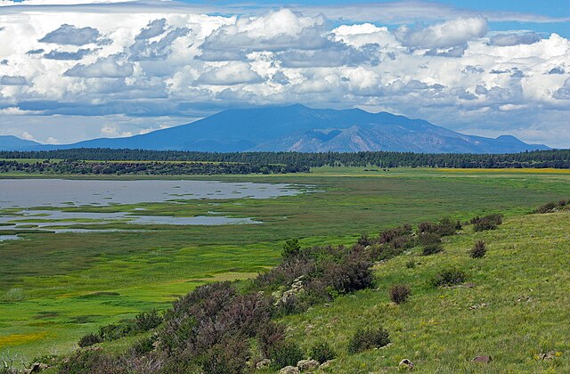 mormon lake