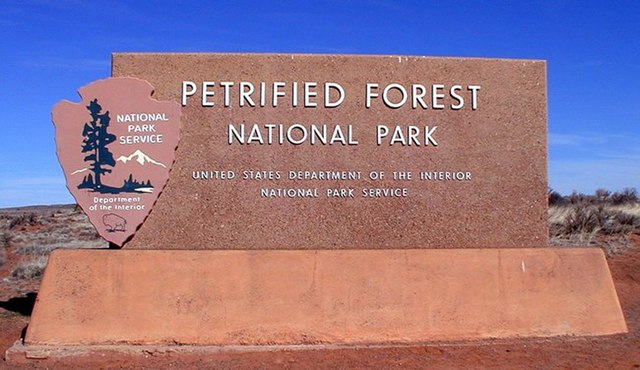 petrified forest national park